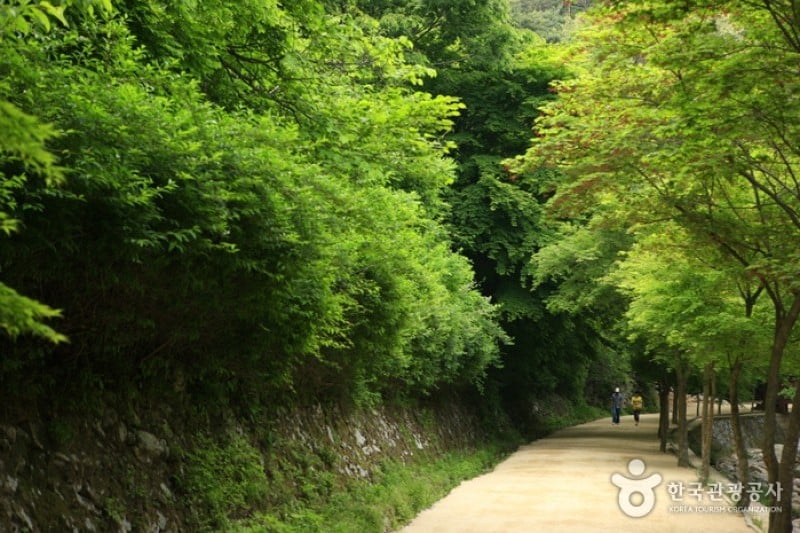 Gangcheonsan County Park  (1/11)