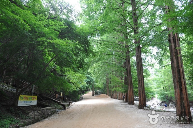 Gangcheonsan County Park  (6/11)