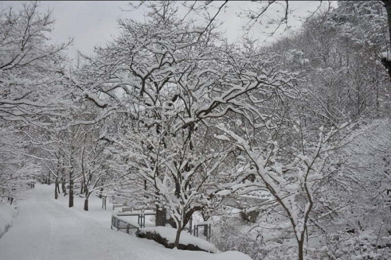 Gangcheonsan County Park  (9/11)