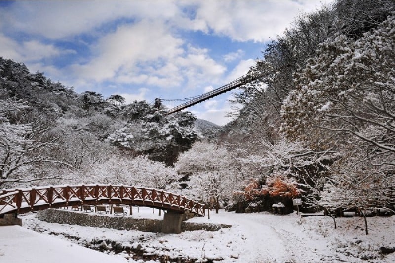 Gangcheonsan County Park  (10/11)