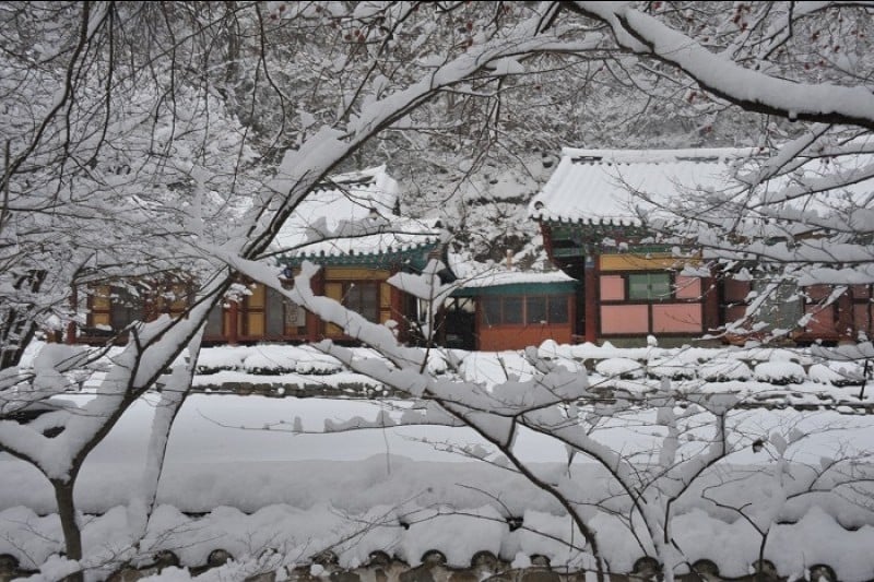 Gangcheonsan County Park  (11/11)