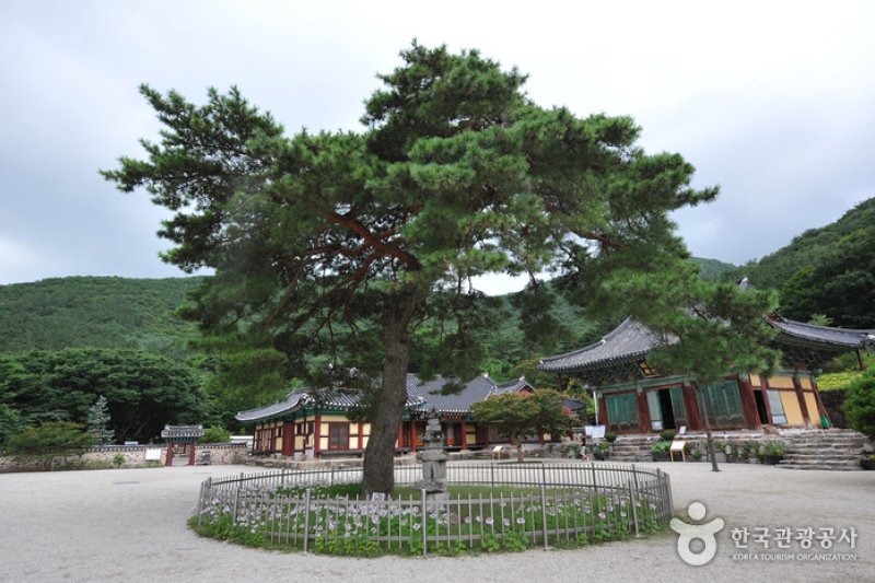 Wibongsa Temple  (7/7)
