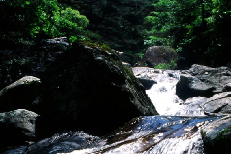 Chiryeon Valley (칠연계곡) (1/5)