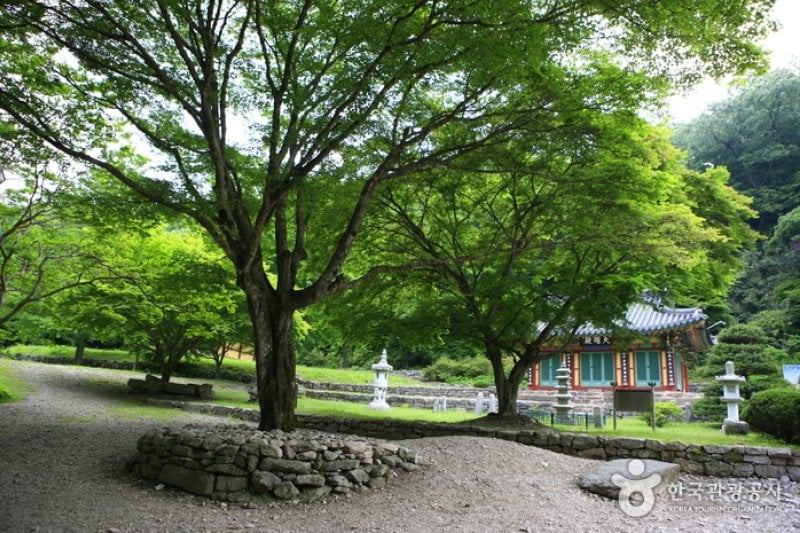 Gangcheonsa Temple  (1/7)
