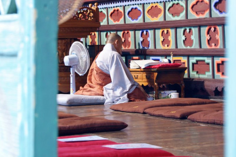 Seonunsa Temple Stay  (12/12)