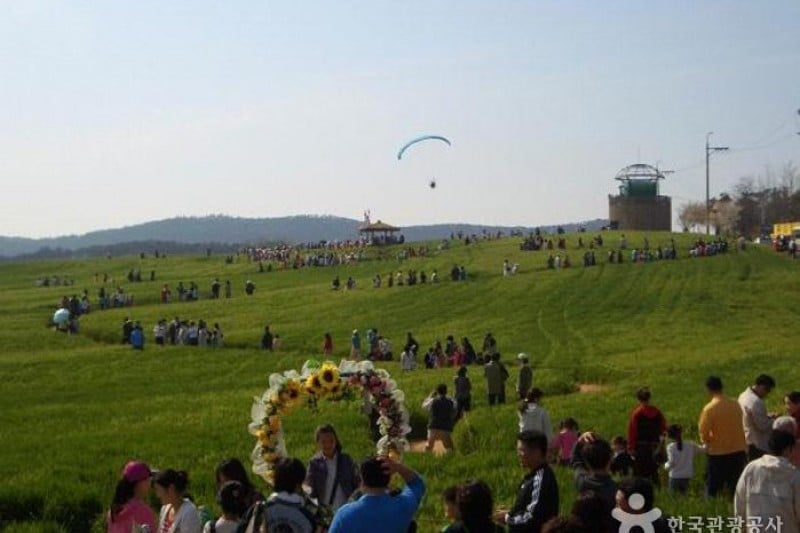 Gochang Green Barley Field Festival  (2/4)