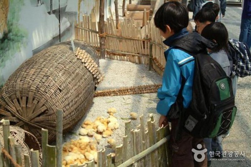 Gochang Green Barley Field Festival  (3/4)