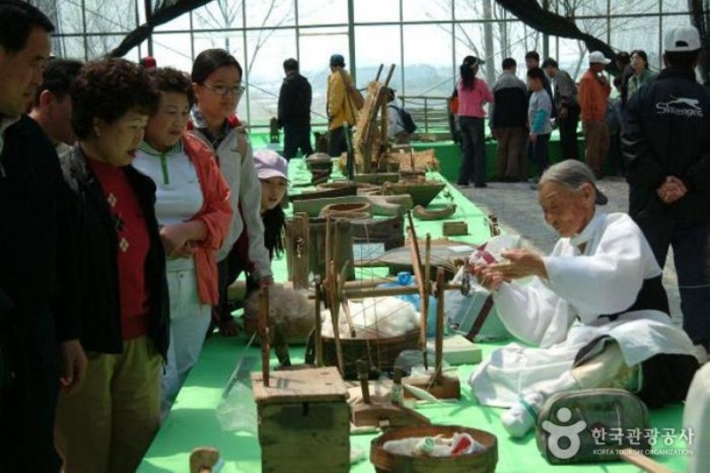 Gochang Green Barley Field Festival  (4/4)