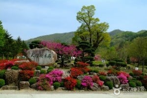 Daea Arboretum 