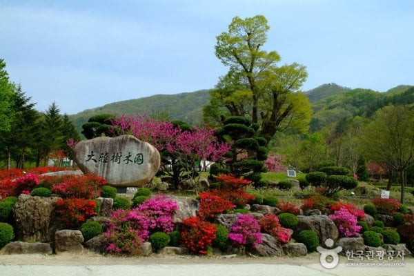 Daea Arboretum