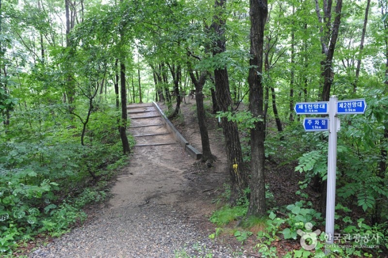 Daea Arboretum  (2/16)