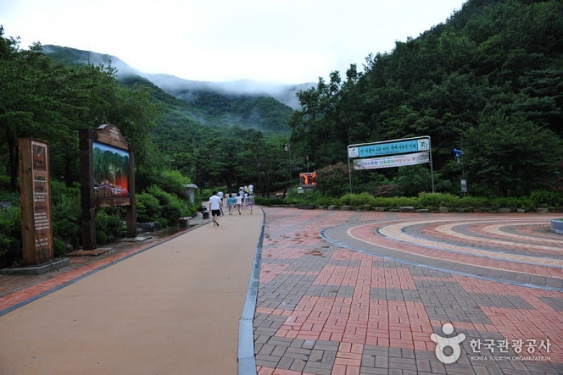 Daea Arboretum  (7/16)