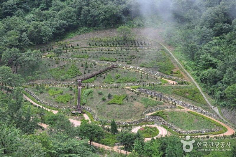 Daea Arboretum  (8/16)