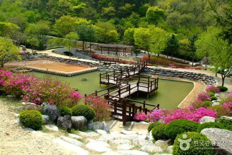 Daea Arboretum  (11/16)