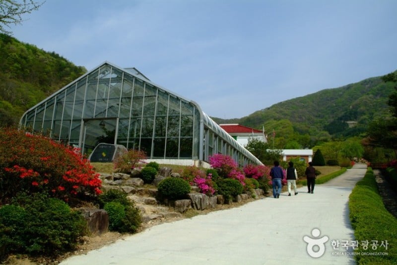 Daea Arboretum  (12/16)