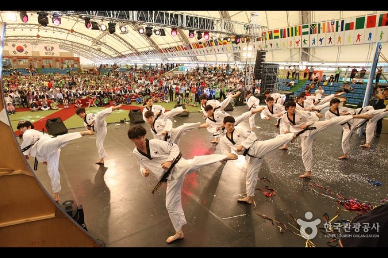 World Taekwondo Culture Expo  (1/2)