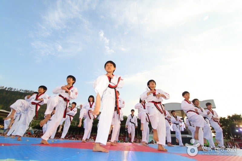 World Taekwondo Culture Expo  (2/2)