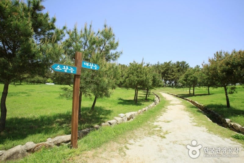 Iksan Ssangneung  (1/16)
