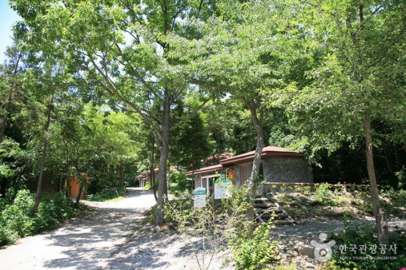 Hoemunsan Recreational Forest  (1/13)
