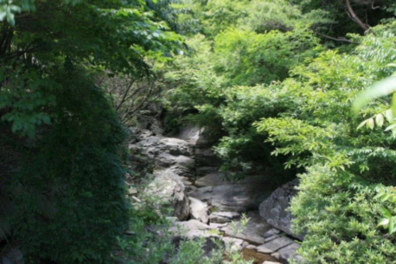 Hoemunsan Recreational Forest  (9/13)