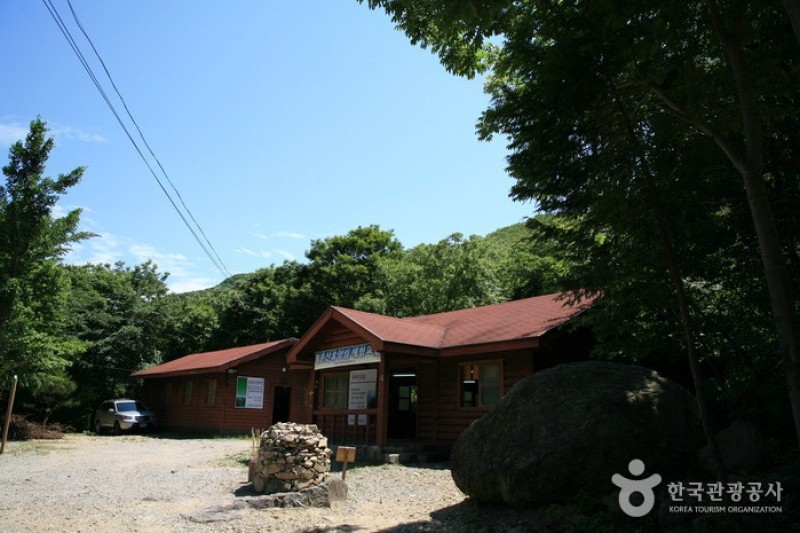 Hoemunsan Recreational Forest  (11/13)