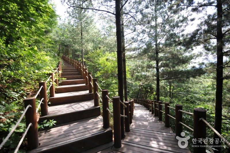 Taekwondowon Observatory  (5/9)