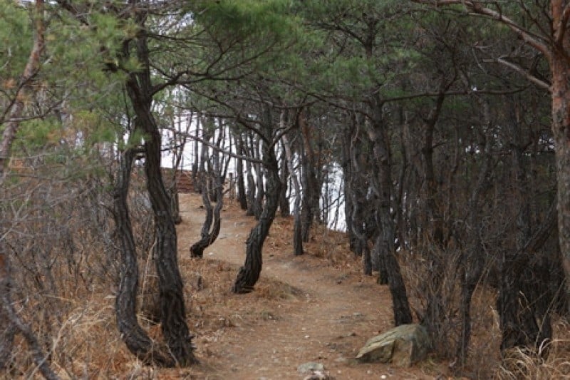 Taekwondowon Observatory  (7/9)