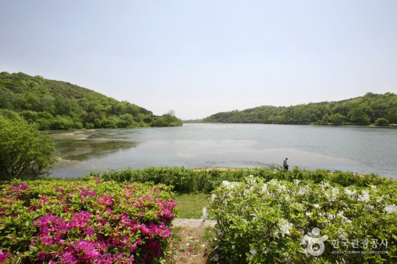 Seodong Park 