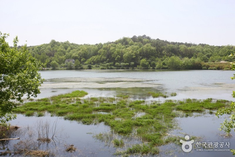 Seodong Park 