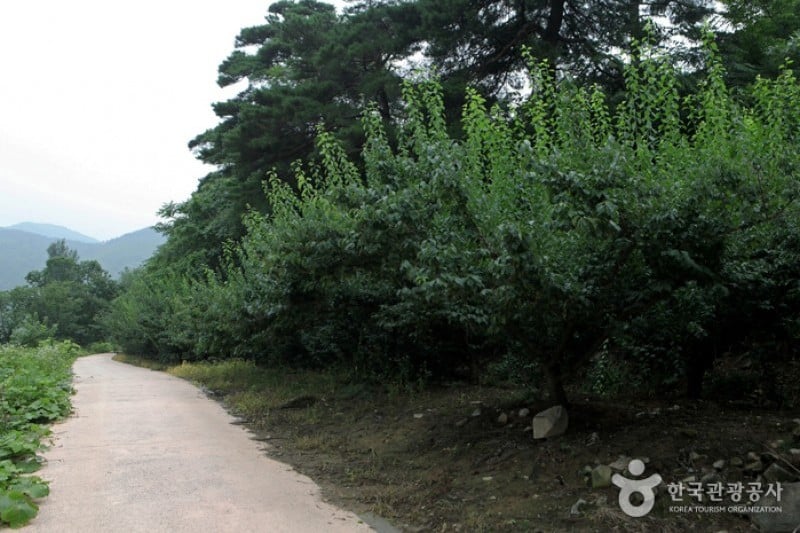 Gudam Village  (5/14)