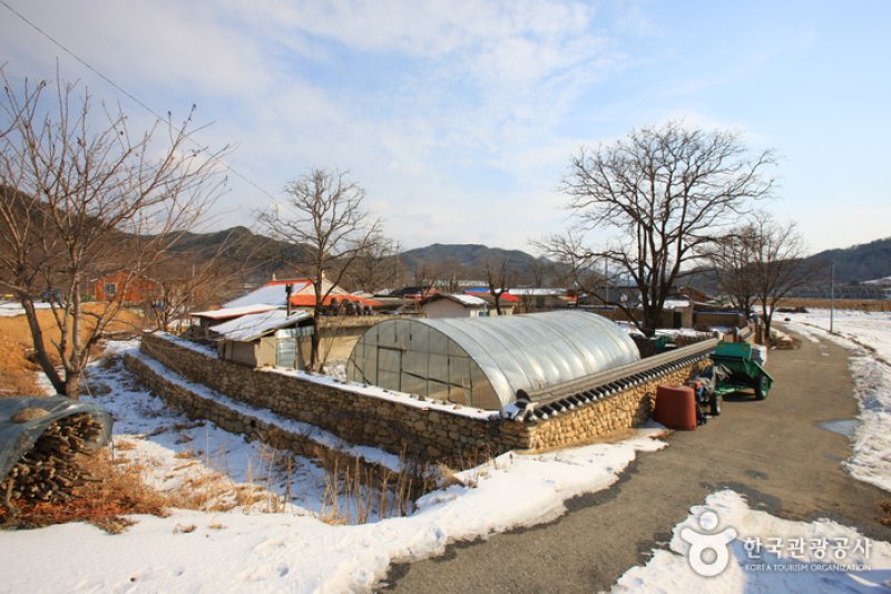 Old Walls of Jijeon Village in Muju (무주 지전마을 옛 담장) (6/16)