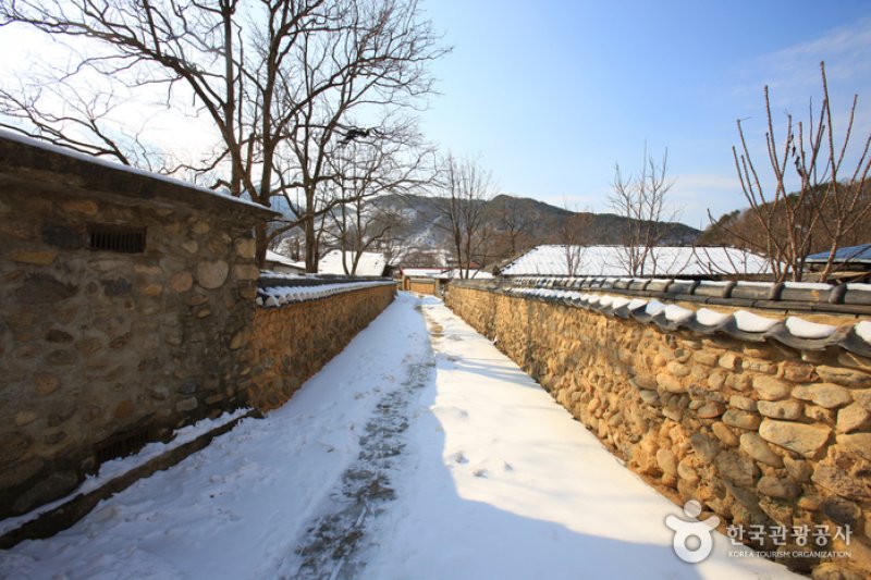 Old Walls of Jijeon Village in Muju (무주 지전마을 옛 담장) (7/16)