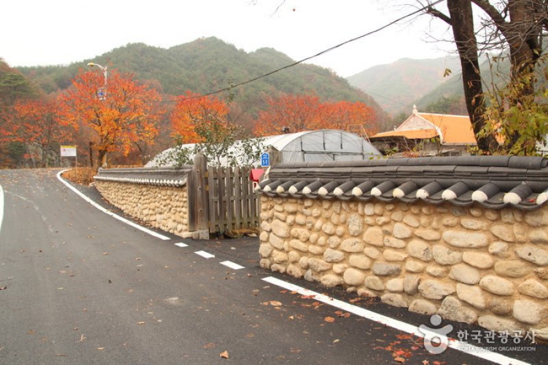 Old Walls of Jijeon Village in Muju (무주 지전마을 옛 담장) (11/16)