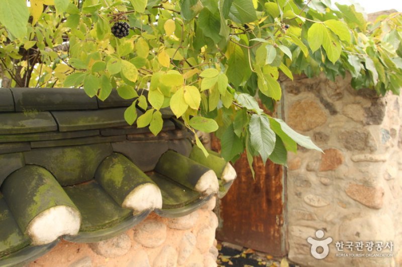 Old Walls of Jijeon Village in Muju (무주 지전마을 옛 담장) (12/16)