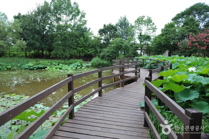 Korea Expressway Corporation Arboretum  (1/13)