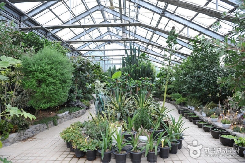 Korea Expressway Corporation Arboretum  (2/13)