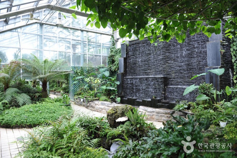 Korea Expressway Corporation Arboretum  (3/13)