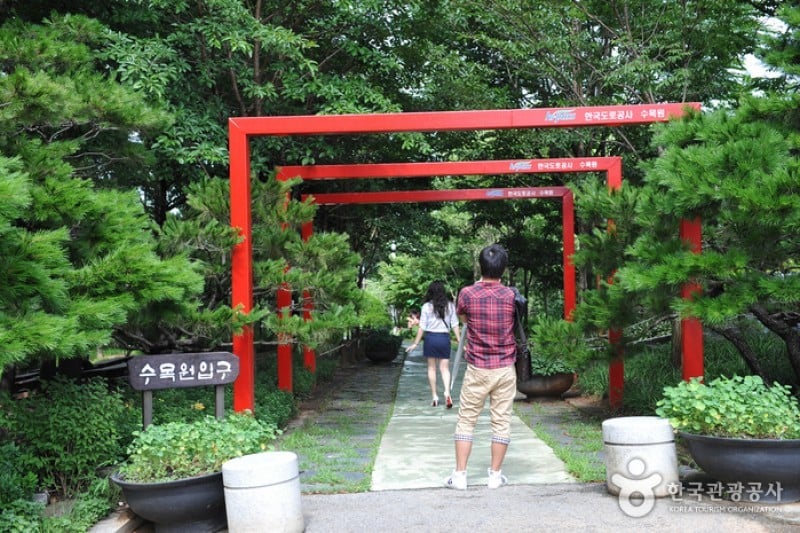 Korea Expressway Corporation Arboretum  (5/13)