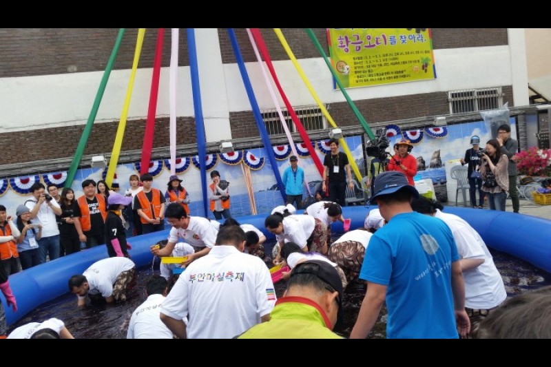 Buan Masil Festival  (4/7)