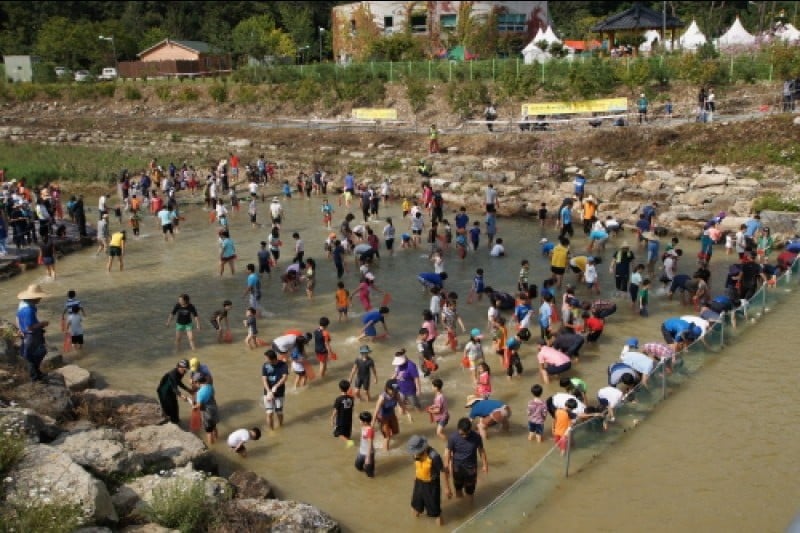 Wanju Wild Food Festival  (2/11)
