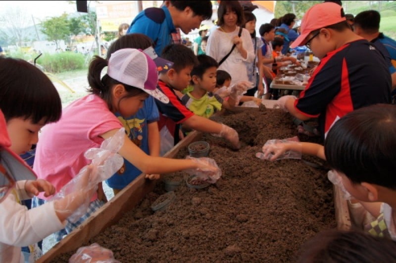 Wanju Wild Food Festival  (4/11)