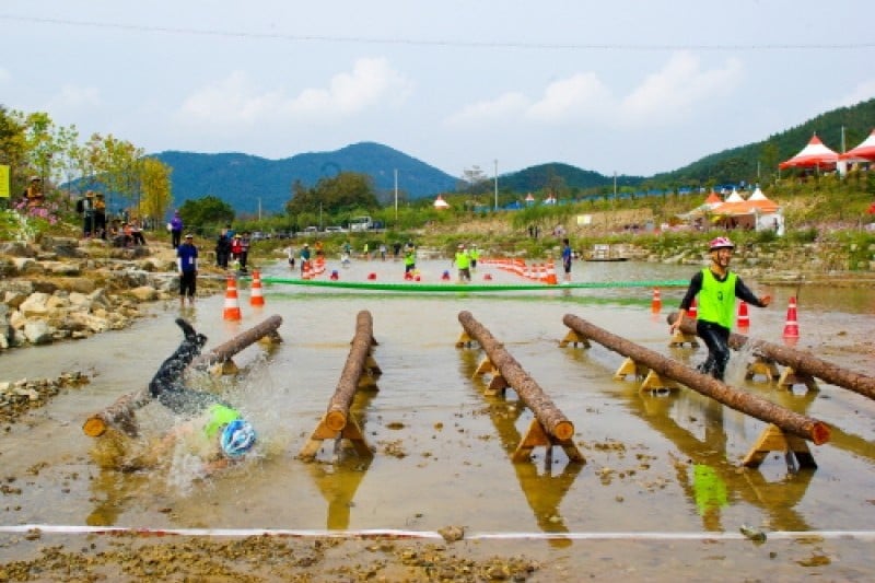 Wanju Wild Food Festival  (5/11)