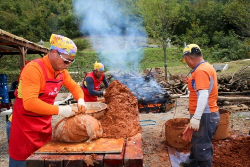 Wanju Wild Food Festival  (7/11)