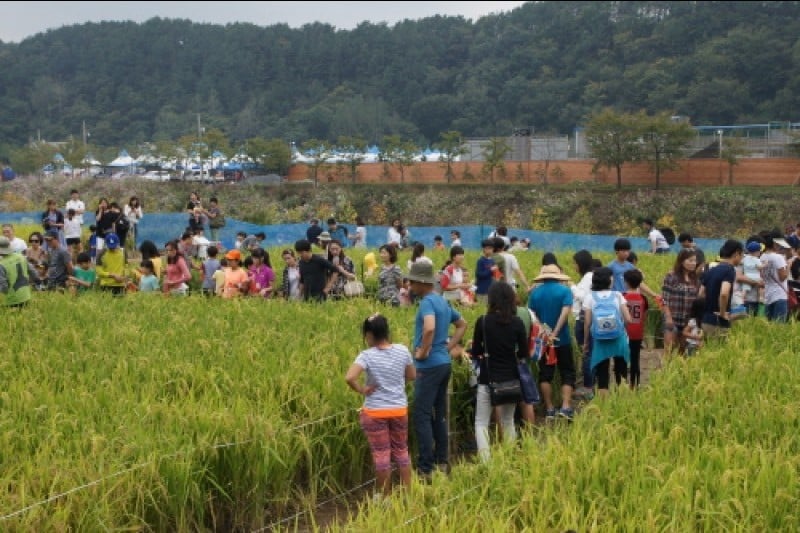 Wanju Wild Food Festival  (9/11)