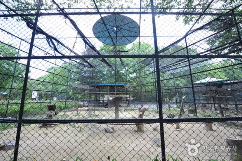Jeonju Zoo  (2/6)
