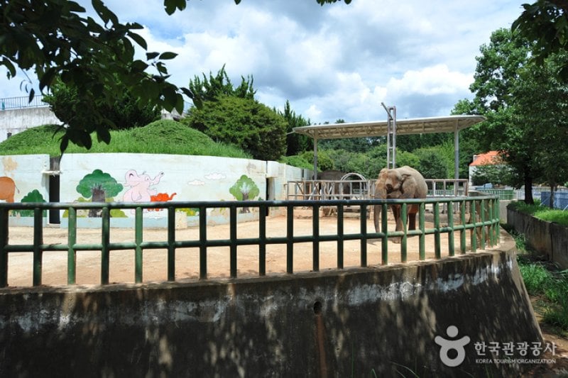 Jeonju Zoo  (6/6)