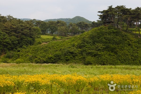 Okjeongho Lake Gujeolcho Theme Park