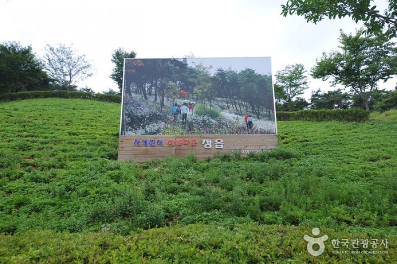 Okjeongho Lake Gujeolcho Theme Park  (2/23)