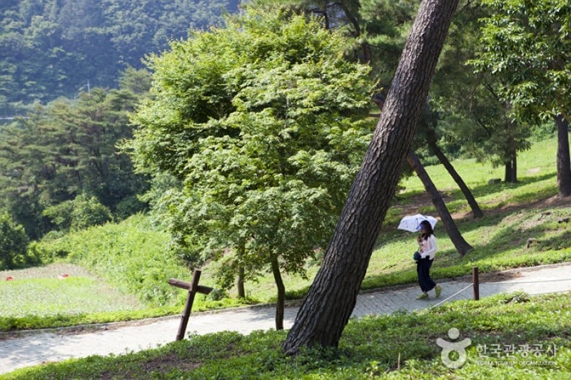 Okjeongho Lake Gujeolcho Theme Park  (8/23)