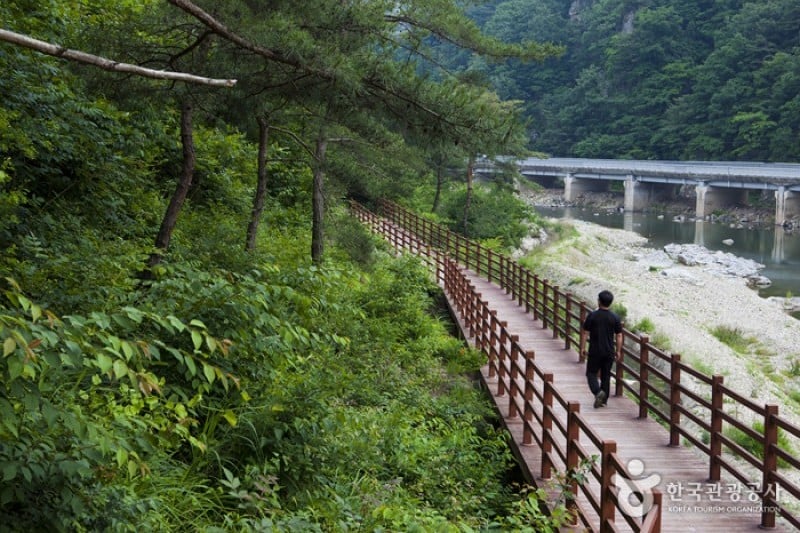 Okjeongho Lake Gujeolcho Theme Park  (12/23)